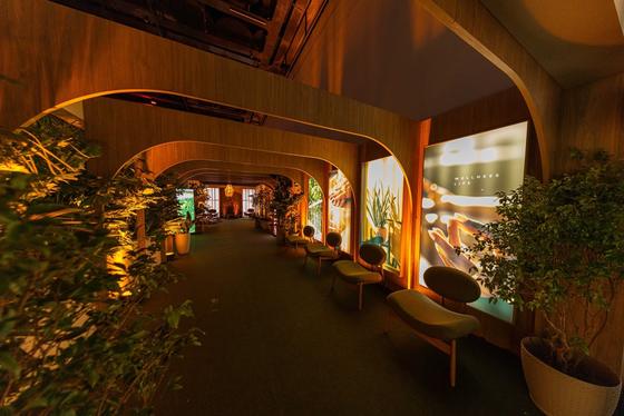 Bioma Wellness Life — imagem 3